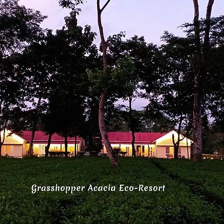 Grasshopper Acacia Eco Resort Madari Hat Exterior foto