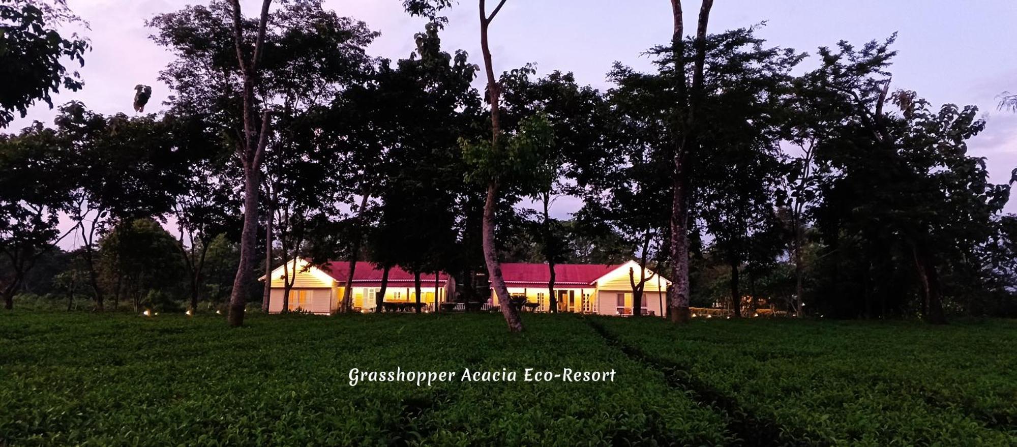 Grasshopper Acacia Eco Resort Madari Hat Exterior foto