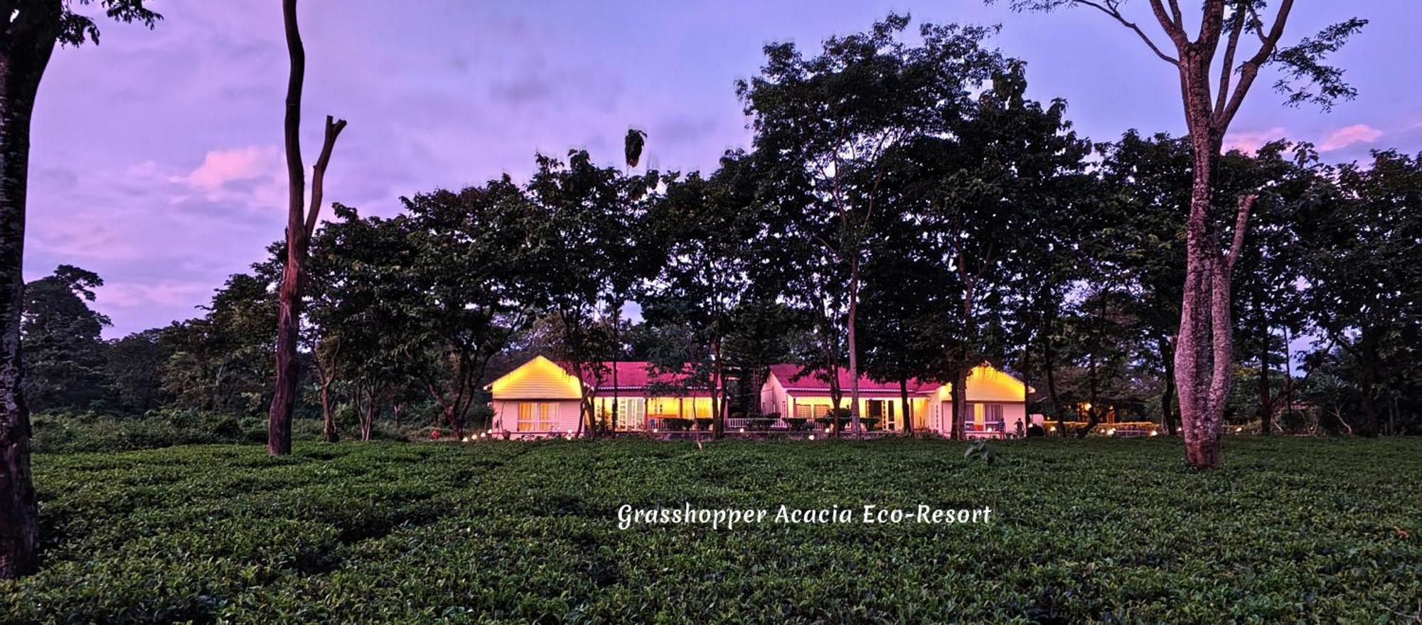 Grasshopper Acacia Eco Resort Madari Hat Exterior foto